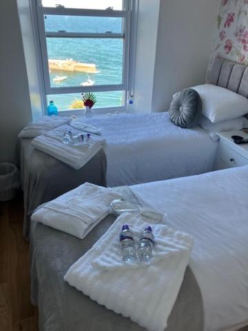 What A View Mevagissey Εξωτερικό φωτογραφία